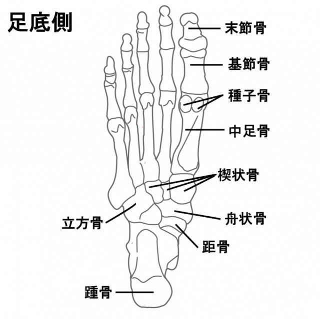 足底部