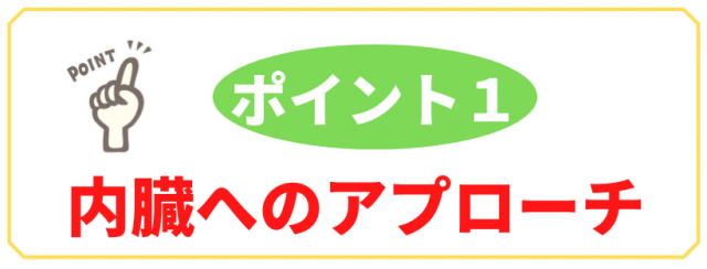 内臓へのアプローチ