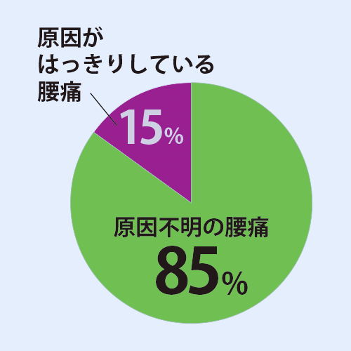 腰痛の説明